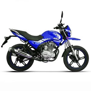 Мотоцикл Regulmoto SK200-9 с ПТС (Синий, , 100011-4)