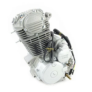 Двигатель в сборе ZS 165FMM (CB250D-G) 223см3, возд. охл., электростартер